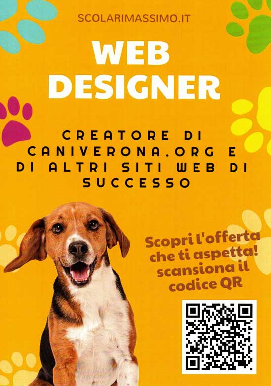 offerta sito web